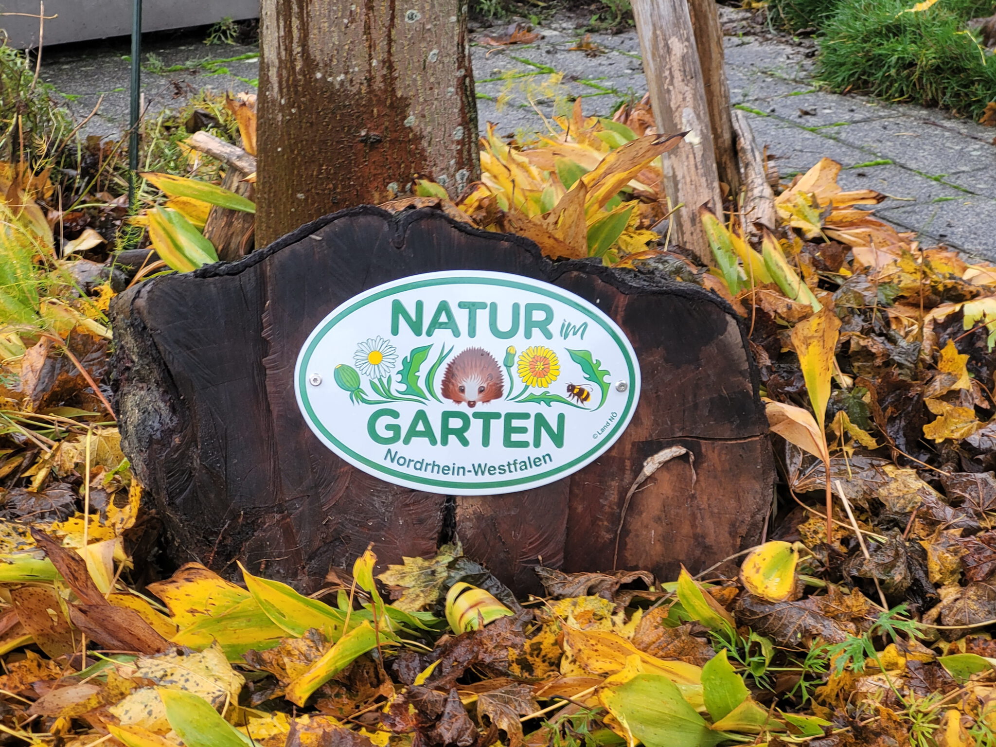 Die Kriterien der Bewegung „NATUR im GARTEN“ im Überblick NATUR im