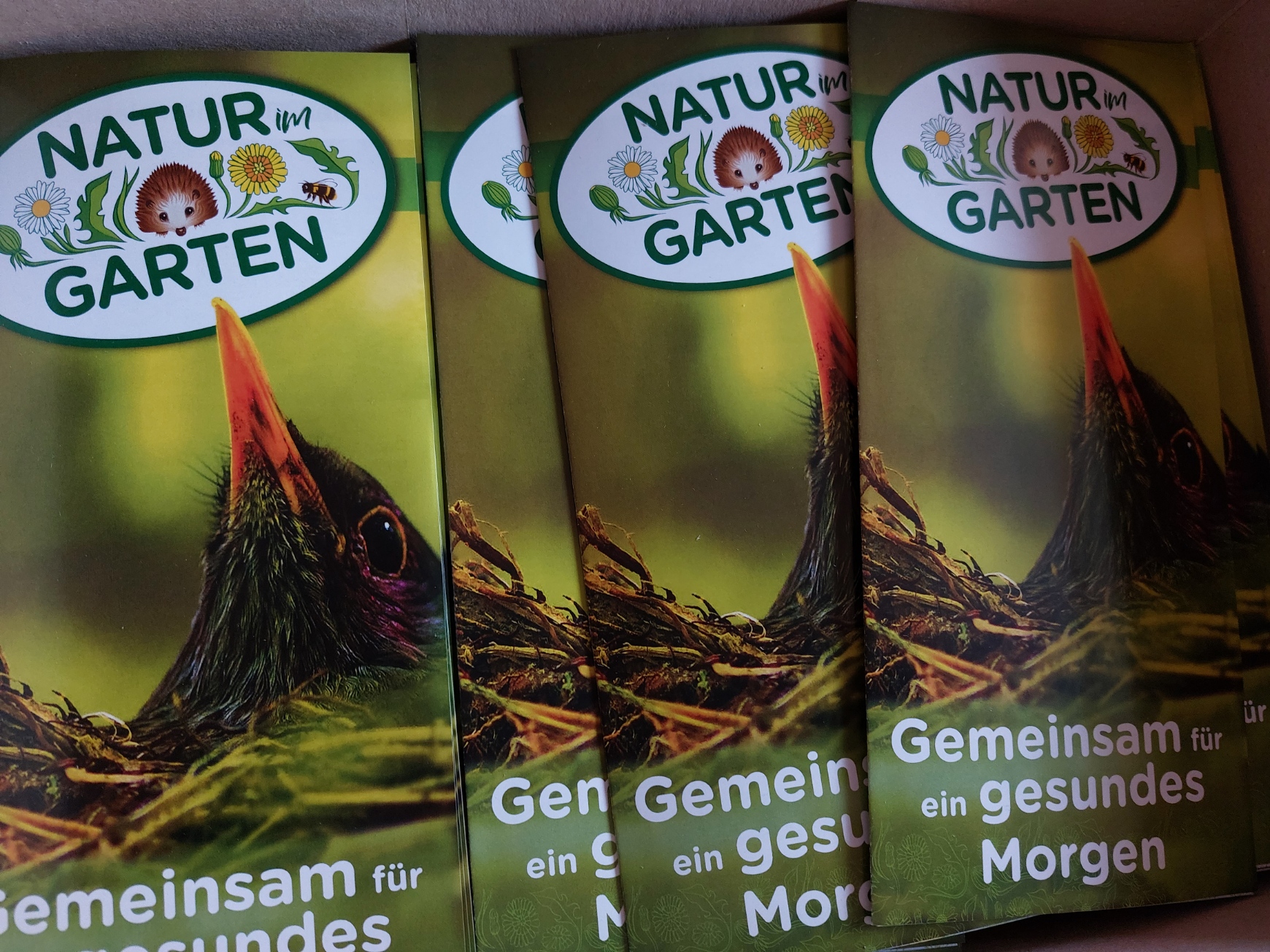 59+ Natur Im Garten Nrw, Einer davon ist es, bäume zu pflanzen, denn